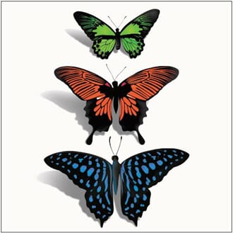 Kort 160x160, Christopher Vine Design, "Butterflies on White