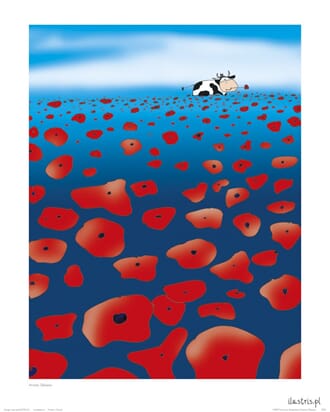 Plakat 40x50, Ilustris, ku blant valmuer