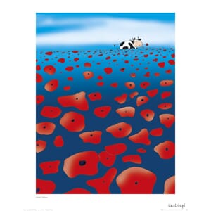 Plakat 40x50, Ilustris, ku blant valmuer