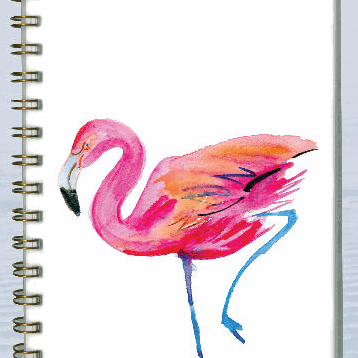 Skrivebøker - notisbøker