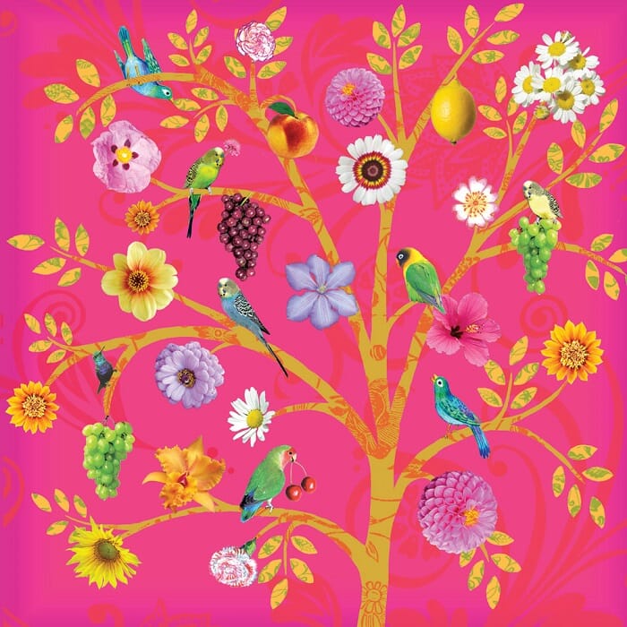 Små og mellomstore kort