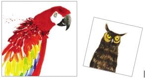 Kortmappe140x140, Almanac Gallery, Parrot & Owl