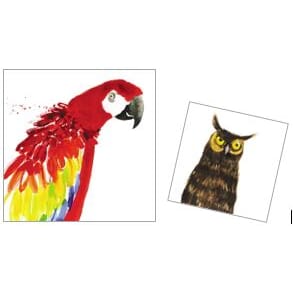 Kortmappe140x140, Almanac Gallery, Parrot & Owl