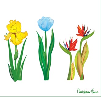 Kort 160x160, Christopher Vine Design, "Botanical White"