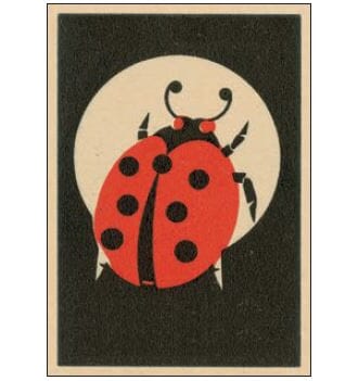 Enkelt kort  Art Press, 148x105, Ladybird