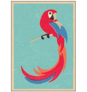 Enkelt kort  Art Press, 148x105, Parrot