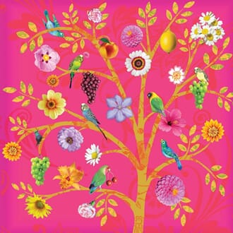 Doble kort,10x10x, Maddicott, Lemongrass, Sweet Cherries