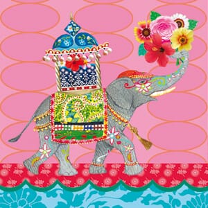 Kort 10x10, lemongrass, Khatmandu