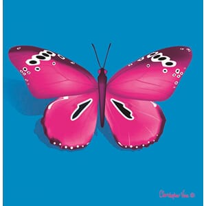 Kort 100x100, Christopher Vine Design, "Pink Butterfly"