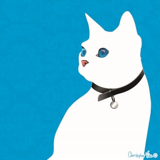 Kort 100x100, Christopher Vine Design, "White Cat"