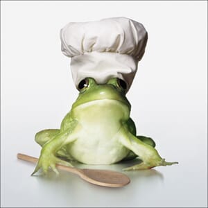 Kort 100x100, Mini Portfolio "Frog`s Feast"