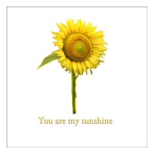 Kort 100x100, Mini Portfolio, You are my sunshine