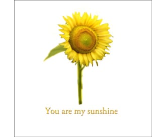 Kort 100x100, Mini Portfolio, You are my sunshine