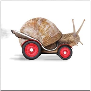 Kort 100x100, Mini Portfolio, snegl på hjul