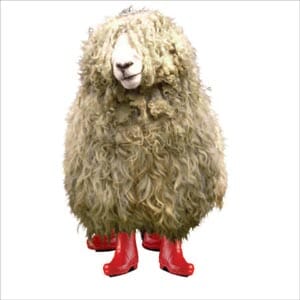 Kort 100x100, Mini Portfolio, Shaggy