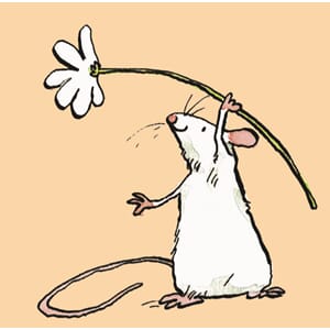 Minikort Two Bad Mice, 70x70,  Mouse and Daisy, pink