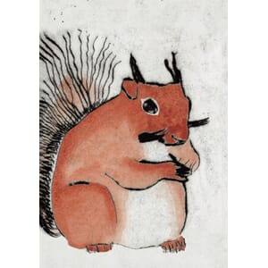 Kunstkort 170x120mm, Richard Spare, Red Squrrel