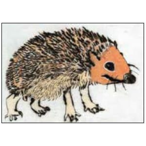 Kunstkort 170x120mm, Richard Spare, Mr Prickles