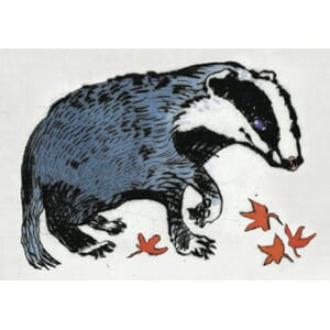 Kunstkort 170x120mm, Richard Spare, Badger Cub