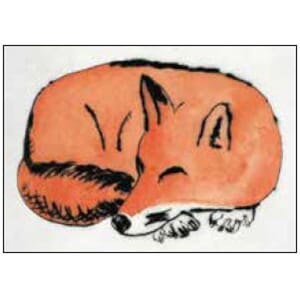 Kunstkort 170x120mm, Richard Spare, Fox