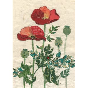 Doble kort 167x118, Amy`s Cards, Pattern Poppies