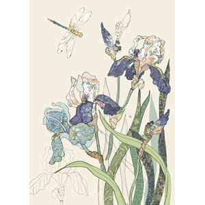 Doble kort 167x118, Collage, Bearded Irises
