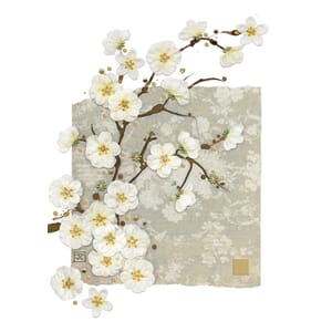 Kort 167x118, Paper & Foil, White Blossom