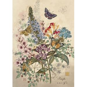 Kort 167x118, Paper & Foil, Botanical Butterflies
