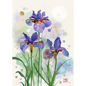 Dobbelt kort 167x118, Collage, Purple Irises