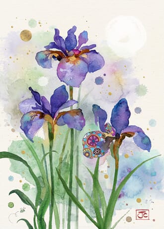 Dobbelt kort 167x118, Collage, Purple Irises
