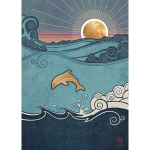 Kort 167x118, Scenic, Dolphin