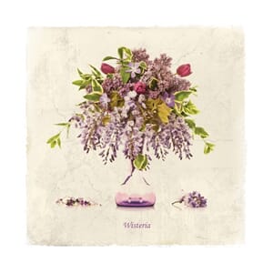 Doble kort 150x150, blomstermotiv, Wisteria