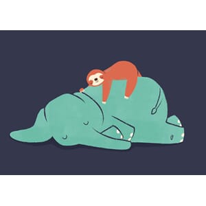 Dobbelt kort 12x17, Jay Fleck, Snooze