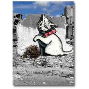Doble kort 120x170mm, BANKSY, Gaza Kitten