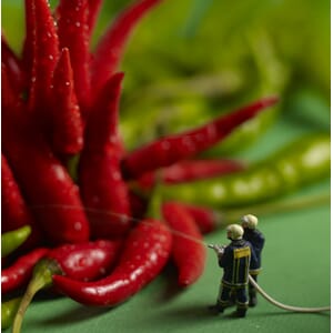 Doble kort med småfigurer MINIMIAM, 155x155, Chilli Inferno