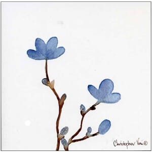 Kort 160x160, Christopher Vine Design, "Blue Flowers"