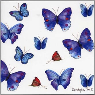 Kort 160x160, Christopher Vine Design, "Butterflies"