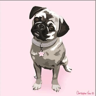 Kort 160x160, Christopher Vine Design, "Princess Pug"