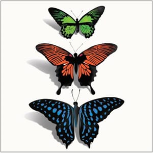 Kort 160x160, Christopher Vine Design, "Butterflies on White