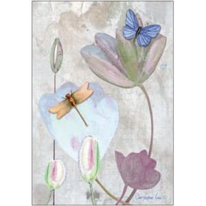 Doble kort 12x17, Christopher`s Garden, Tender Tulips