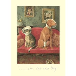 Kort Two Bad Mice: Like Cat & Dog