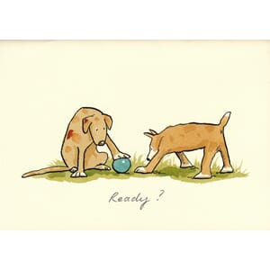 Kort Two Bad Mice: Ready?