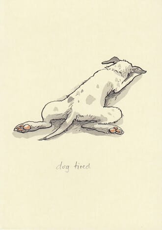 Kort Two Bad Mice: Dog Tired