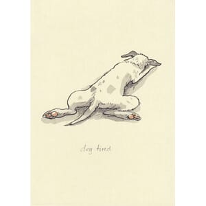 Kort Two Bad Mice: Dog Tired