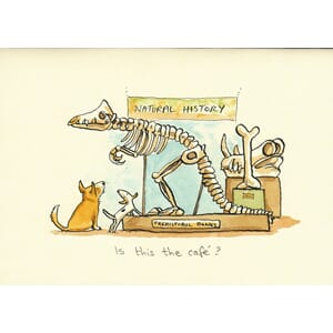 Kort Two Bad Mice: Is this the cafe?