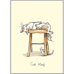 Dobbelt kort Two Bad Mice, 100x150: Cat Nap