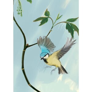 Dobbelt kort Two Bad Mice: Blue Tit with Acer