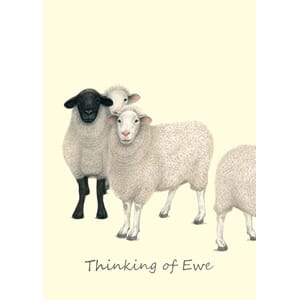 Dobbelt kort Two Bad Mice, 100x150: Thinking of You