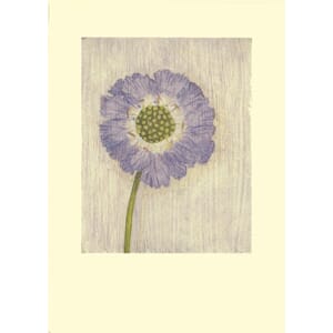 Kort Two Bad Mice: Single Scabious