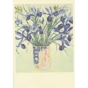 Kort Two Bad Mice: Irises